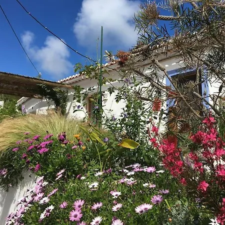 بيت للعطل Casa Das Flores
