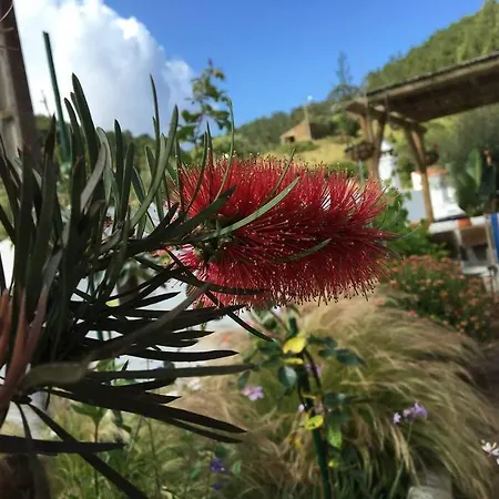 別荘 Casa Das Flores